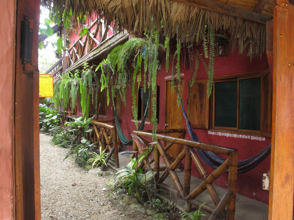 Montañita Hostal Mamacucha المظهر الخارجي الصورة